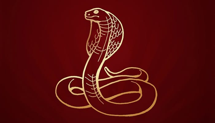 नागपंचमी हा सण का व कसा साजरा केला जातो ? Nagpanchami Festival In Marathi 1 Nagpanchami Festival In Marathi