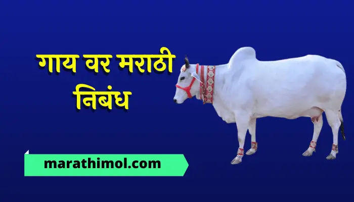 essay on cow in marathi for class 3