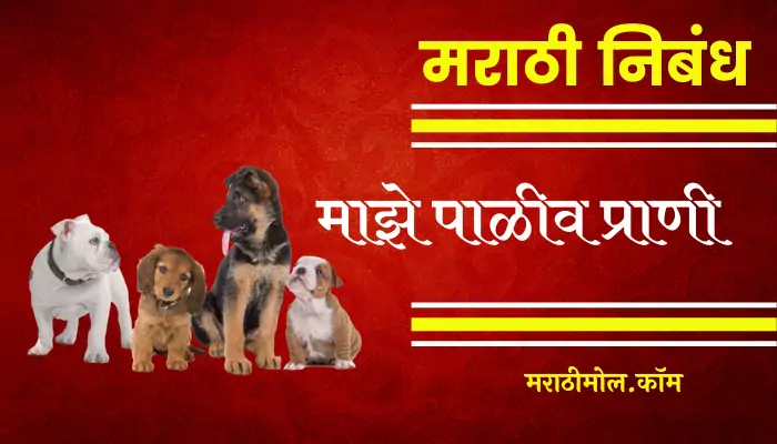 Essay On My Pet Animal In Marathi