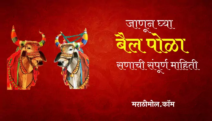 Pola Festival Information In Marathi