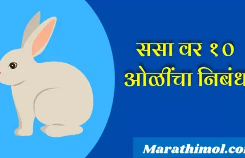 10 Lines On Rabbit In Marathi
