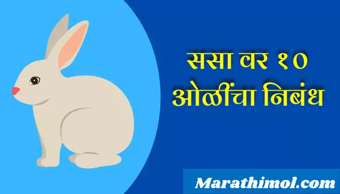 10 Lines On Rabbit In Marathi