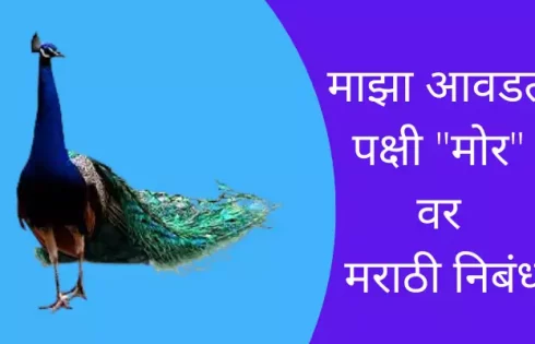 Best Essay On Peacock In Marathi