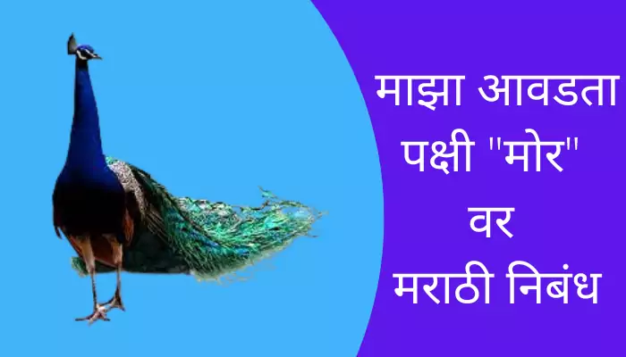  Best Essay On Peacock In Marathi