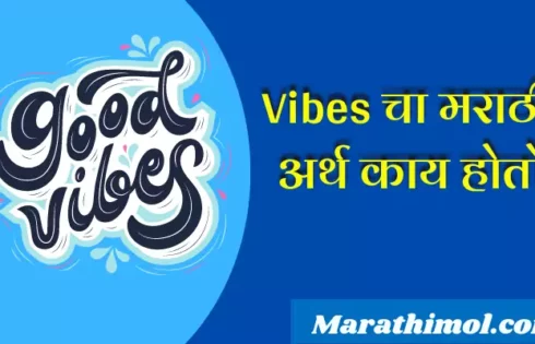 Vibes Meaning In Marathi