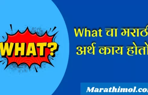 What Meaning In Marathi
