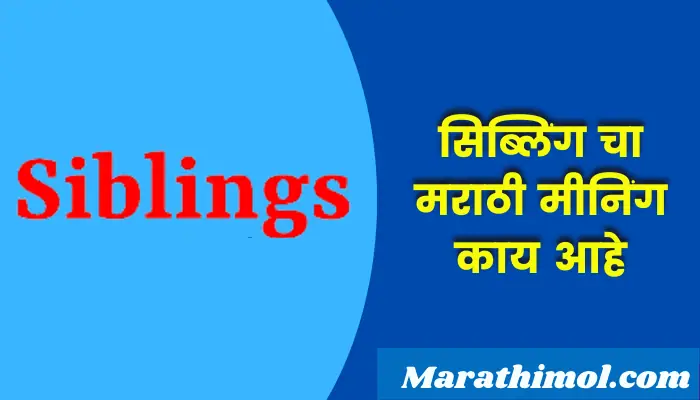 Siblings Meaning In Marathi