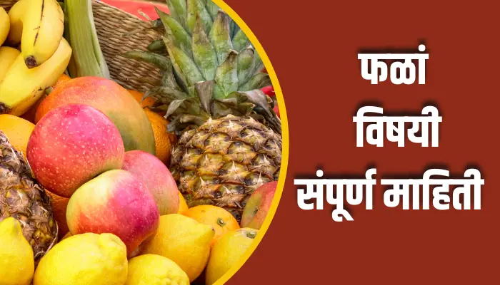 फळां विषयी संपूर्ण माहिती Fruits Information In Marathi - Marathi Mol