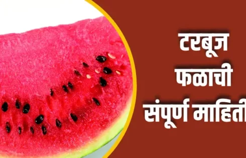 Watermelon Fruit Information In Marathi